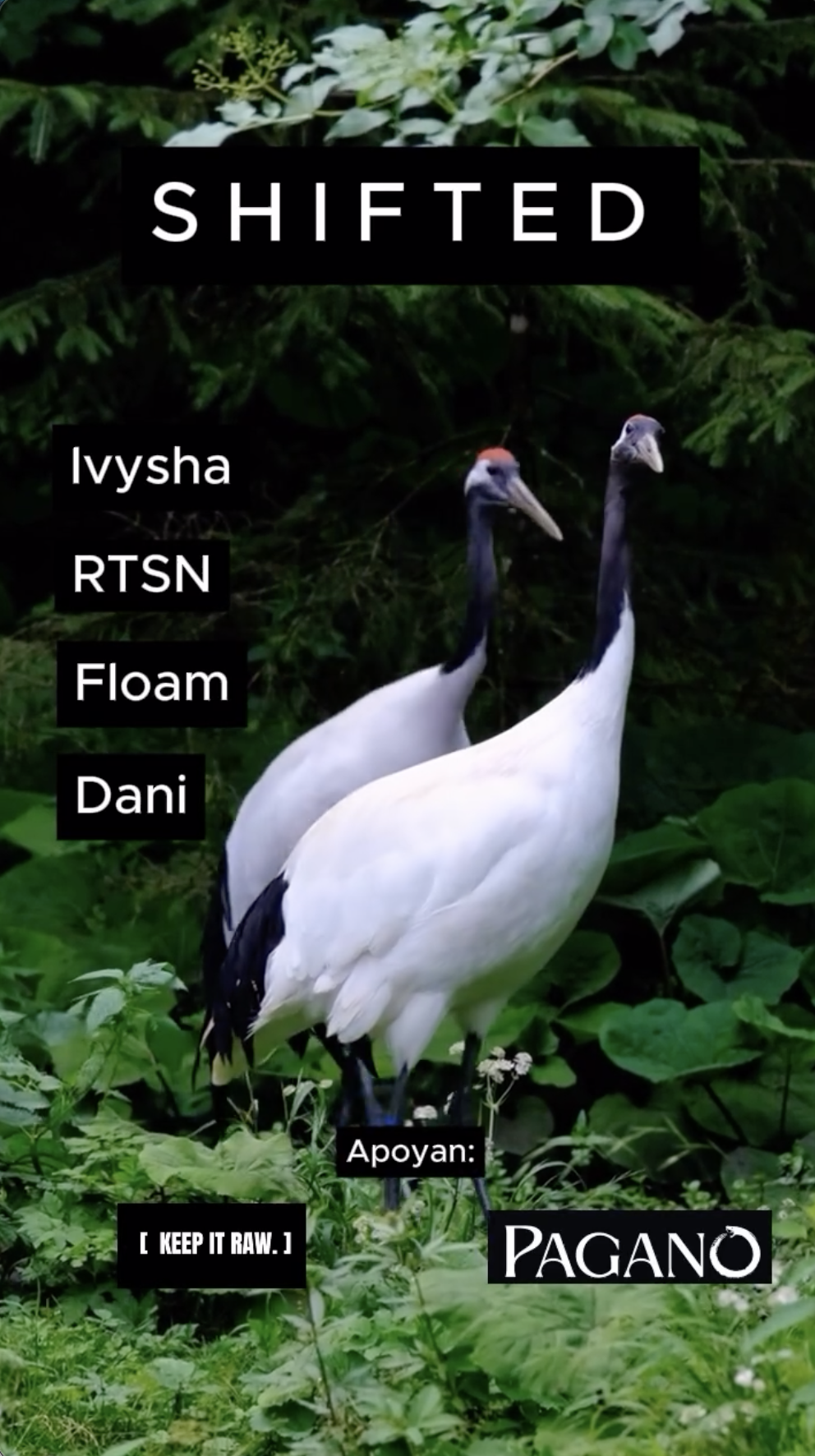 Flyer SHIFTED — IVYSHA con RTSN, Floam y Dani · Pagano
